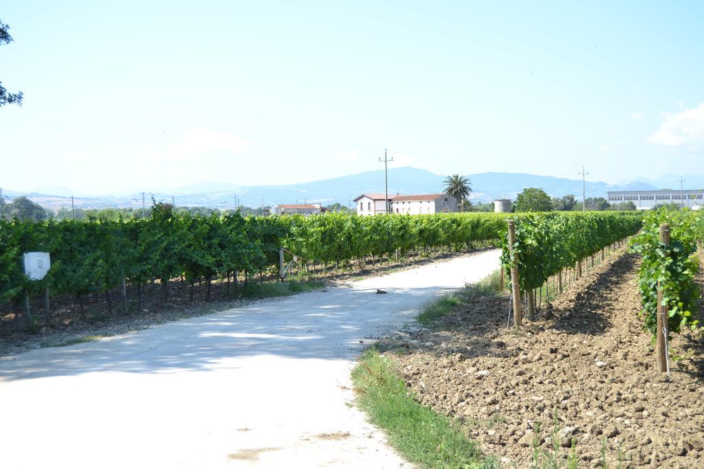 Agriturismo De Luca Mozzagrogna Exteriér fotografie
