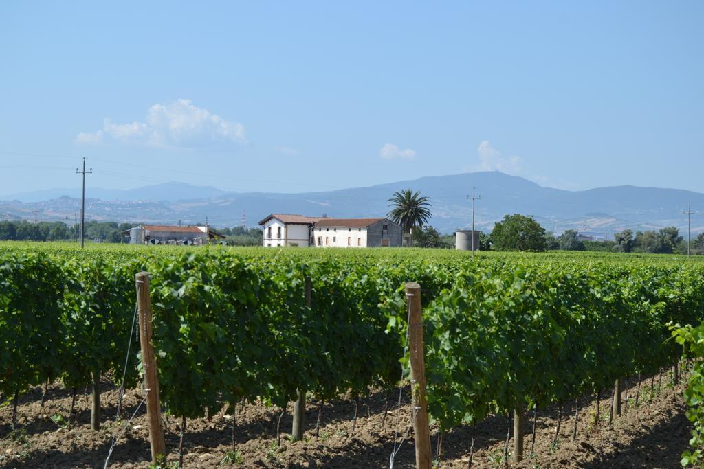 Agriturismo De Luca Mozzagrogna Exteriér fotografie